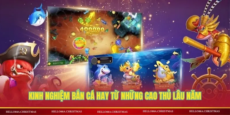 Kinh nghiệm chơi bắn cá cực hay từ thành viên lâu năm
