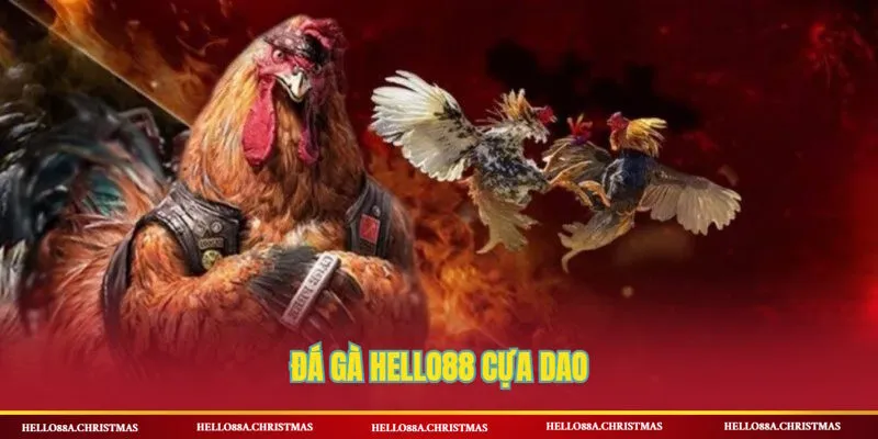 Sản phẩm đá gà HELLO88 cựa dao đặc biệt được người chơi yêu thích