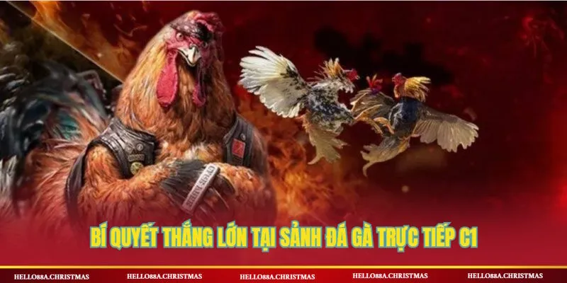 Đá gà trực tiếp C1 và bí quyết chơi hiệu quả từ chuyên gia