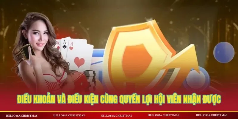 Điều khoản và điều kiện cùng quyền lợi hội viên nhận được