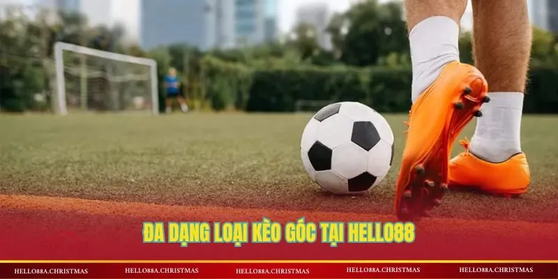 Đa dạng loại kèo góc tại HELLO88